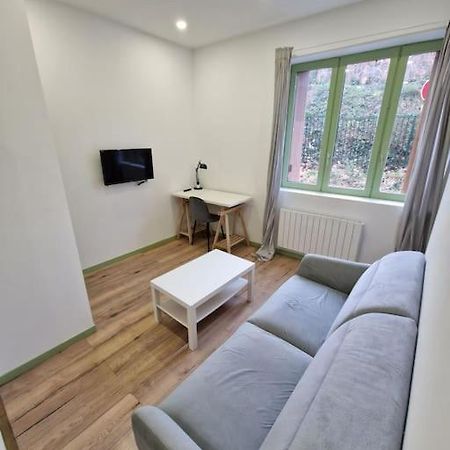 T1 Bis 1 Chambre Saint-Etienne  Bagian luar foto