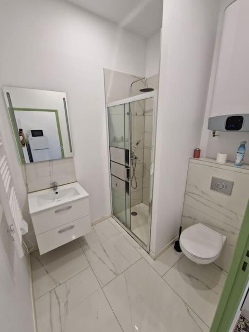 T1 Bis 1 Chambre Saint-Etienne  Bagian luar foto