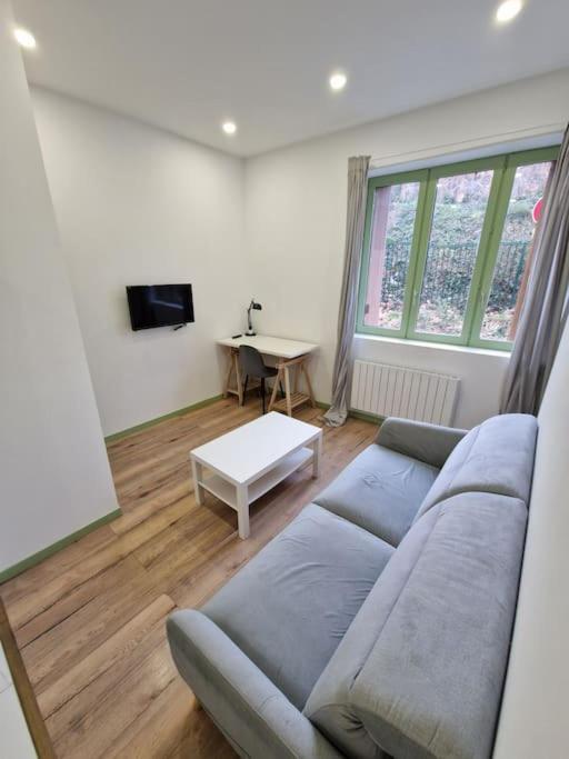 T1 Bis 1 Chambre Saint-Etienne  Bagian luar foto