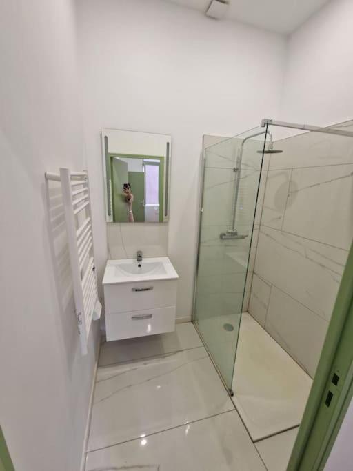 T1 Bis 1 Chambre Saint-Etienne  Bagian luar foto
